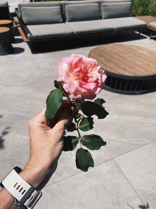 Entre estações e entre versões